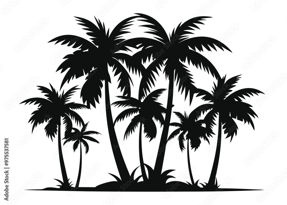 Palm Tree Silhouette with Detailed Fronds and Trunks png on White Background ,tropical silhouette, beach trees, palm tree fronds vector Palm Tree Silhouette with Detailed Fronds and Trunks png on White Background ,tropical silhouette, beach trees, palm tree fronds vector