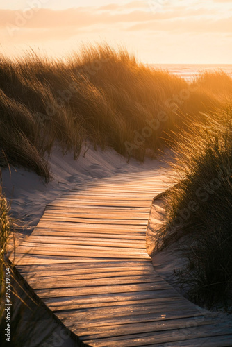 Sandweg zum Meer photo