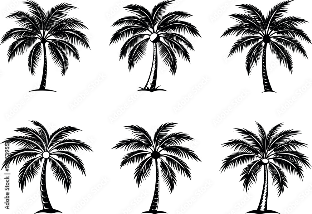Palm trees silhouette black and white background Palm trees silhouette black and white background
