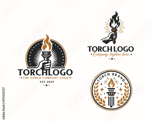 Set bundle Burning Torch fire flame logo design for business company
