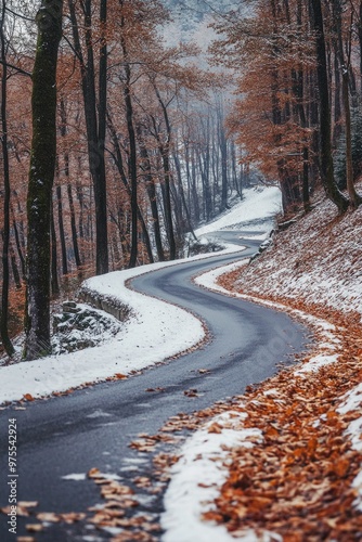 Snowy Forest Road