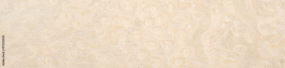 Warm taupe and soft cream hues intermingle in the unique pattern of this high-quality maple burl wood veneer