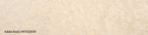 Obraz na płótnie Warm taupe and soft cream hues intermingle in the unique pattern of this high-quality maple burl wood veneer w salonie