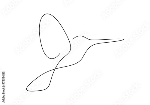 Hummingbird in one continuous line drawing. Isolated on white background vector illustration