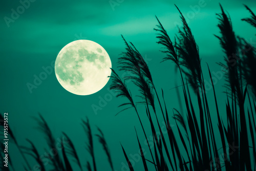 Voller Mond im Schilf photo