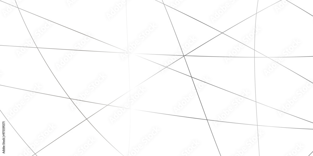 Abstract white background with black and gray stroke lines pattern .black and gray geometric random chaotic creative lines background backdrop .luxury modern technology concept diagonal line . Abstract white background with black and gray stroke lines pattern .black and gray geometric random chaotic creative lines background backdrop .luxury modern technology concept diagonal line .