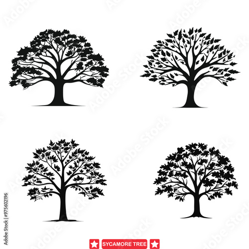 Timeless Beauty  Sycamore Tree Vector Silhouettes in Classic Form
