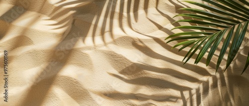 Soft shadows of palm leaves cast over rippling sand, evoking a sense of calm and tropical serenity in a natural and sunlit environment.