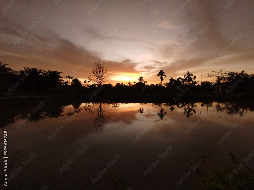 Obraz premium Evening view with sunset, shadows of dry trees and plants in the pond 