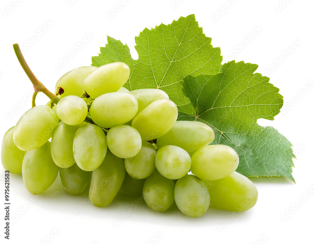 Green grapes with leaves, isolated on a white background, with full depth of field for a na_1(510) Green grapes with leaves, isolated on a white background, with full depth of field for a na_1(510)