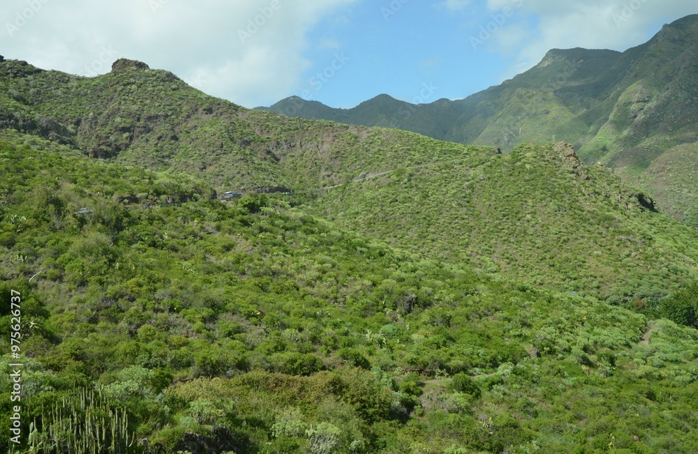 Fototapeta premium Tropical Mountains in Anaga Rural Park, Tenerife, Canary Islands