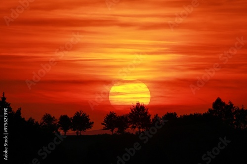 Golden Sunset Behind Trees – Peaceful Nature Landscape at Dusk