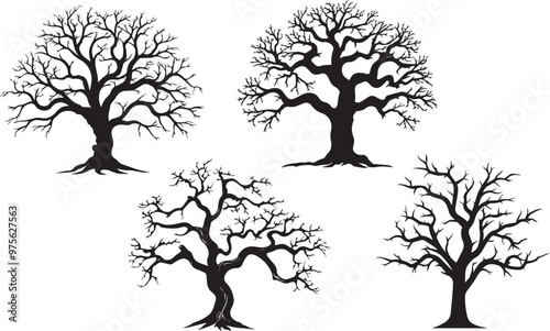 Old tree vector silhouette