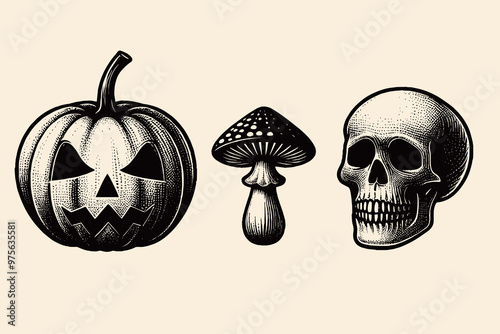Halloween set: skull, pumpkin, mushroom. Vintage engraving vector illustration. Emblem, logo, print, sketch