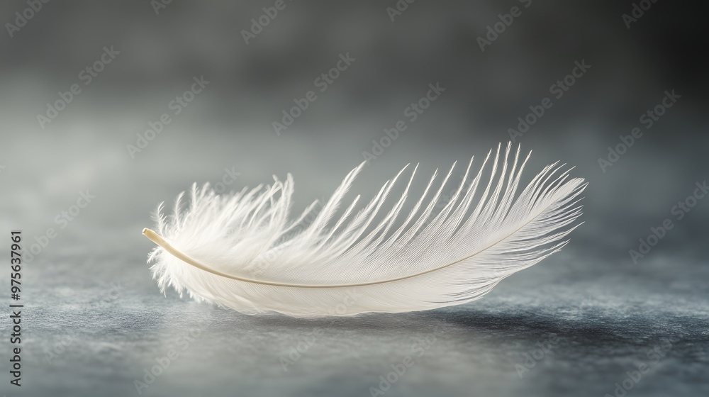 69. A delicate white feather lying on a clean surface 69. A delicate white feather lying on a clean surface