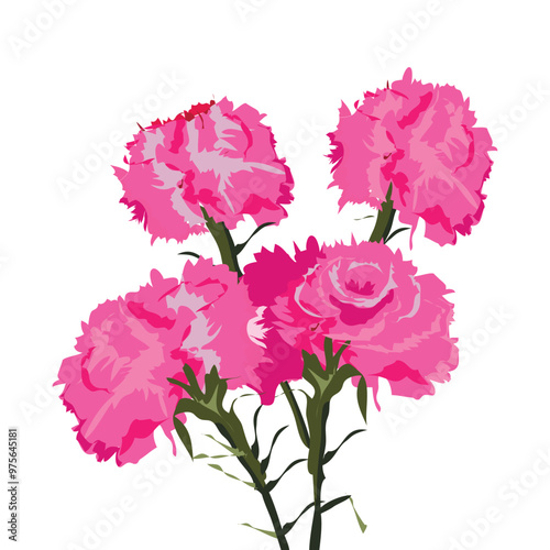 claveles which translates as Carnation flower png