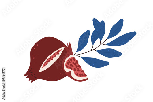 Pomegranates isolated on white background. Ripe fruit, slice and leaves. Vector hand drawn flat illustration.