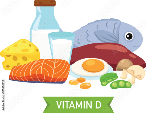 Vitamin D food sources vector illustration