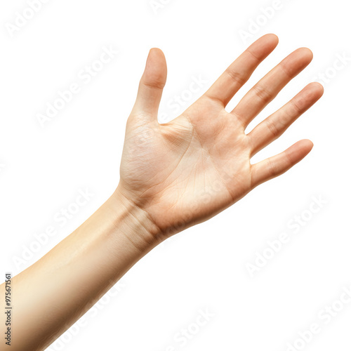 hand isolated on a transparent background