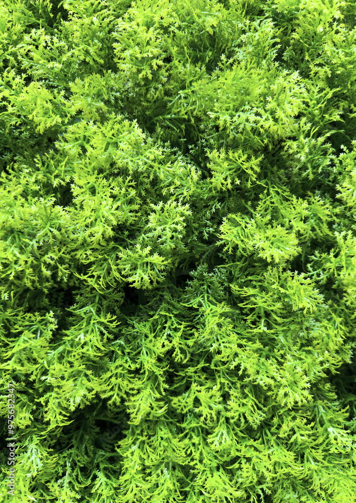 Background made from green leaves