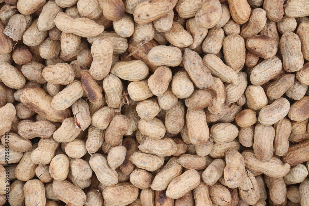 Peanuts pile on shop for sell Peanuts pile on shop for sell