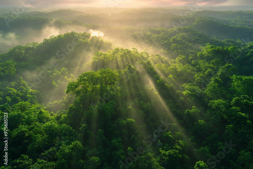 A dramatic aerial photograph of a dense, lush jungle at sunrise, capturing the breathtaking beauty of nature from above