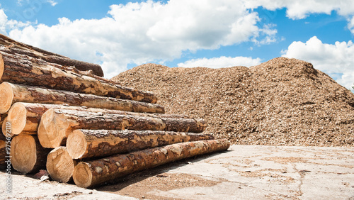 round logs close-up in the background there is a mountain of wood chips and a blue sky with clouds photo