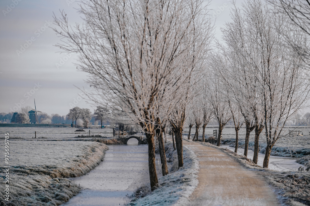A frozen country road specific to rural Holland during a frosty winter. Walking path along the famous Dutch canals A frozen country road specific to rural Holland during a frosty winter. Walking path along the famous Dutch canals