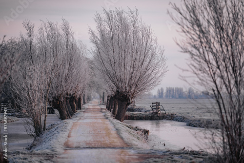 A frozen country road specific to rural Holland during a frosty winter. Walking path along the famous Dutch canals