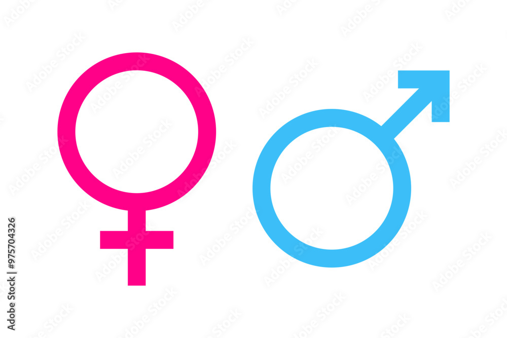 Pink Blue Male Female Gender Symbols Vector Illustration