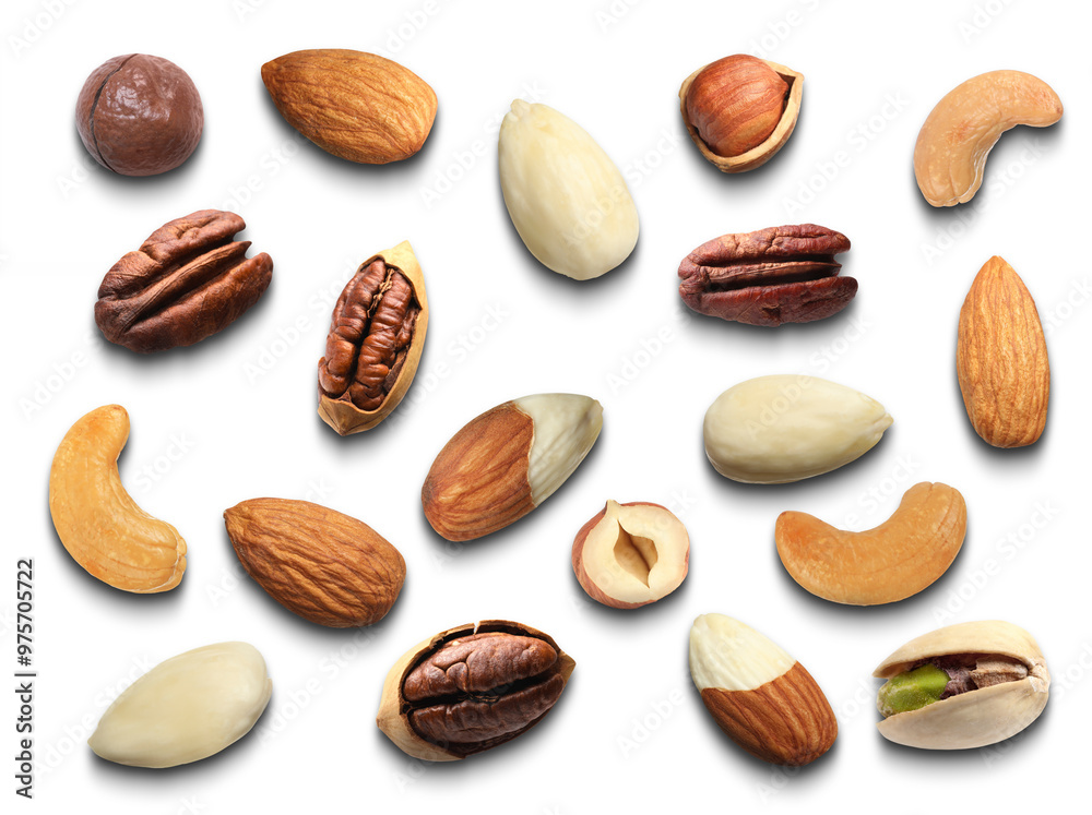Different nuts on white background, collection. Pecan, pistachio, macadamia, hazelnut, almond and cashew Different nuts on white background, collection. Pecan, pistachio, macadamia, hazelnut, almond and cashew