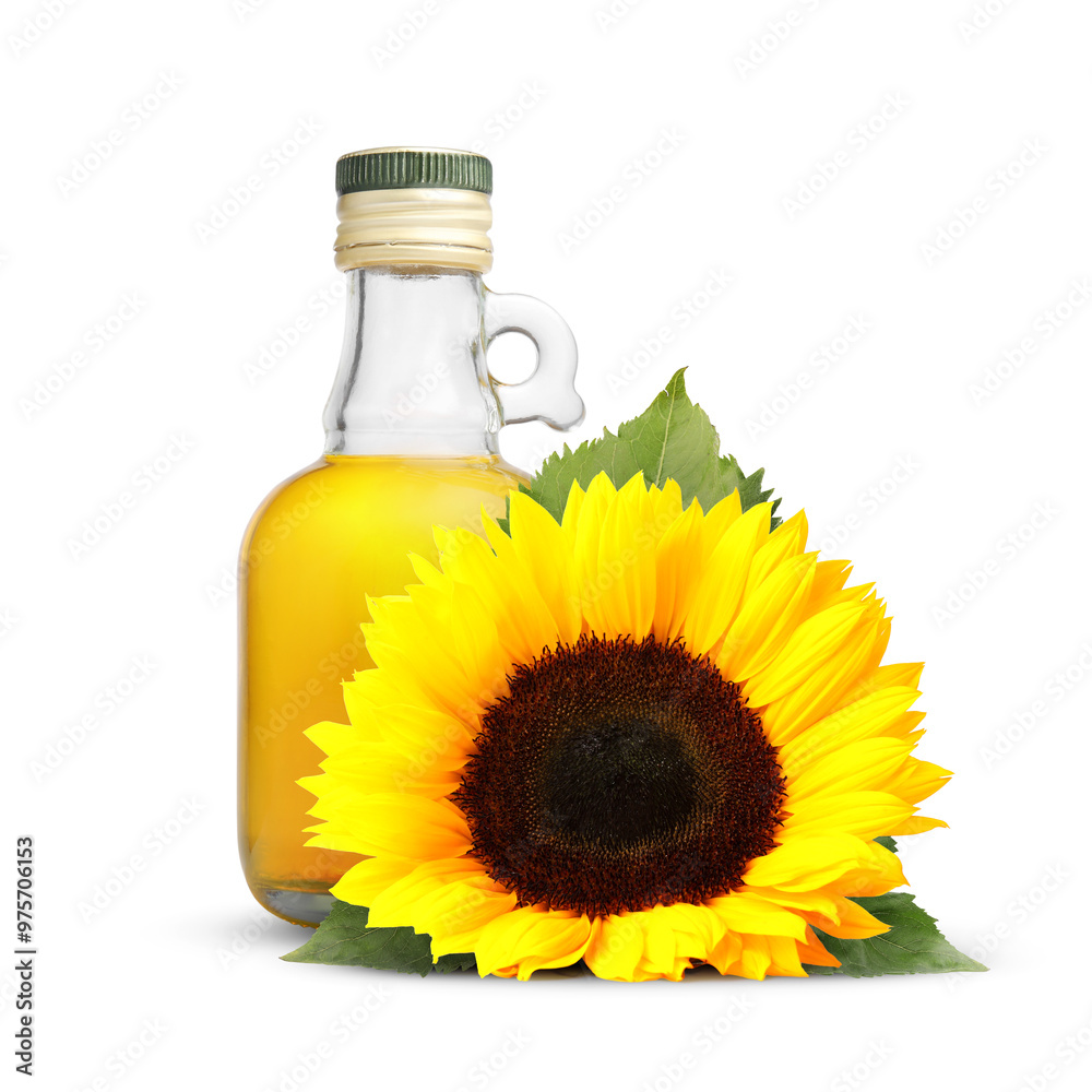 Cooking oil in glass bottle and bright sunflower isolated on white Cooking oil in glass bottle and bright sunflower isolated on white