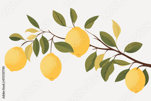 Fresh lemons on branch illustration