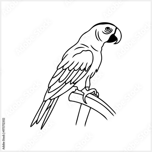 Black and white coloring page Animals parrot icon Vector stock illustration