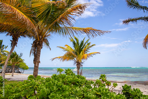 Ambergris Caye Island photo