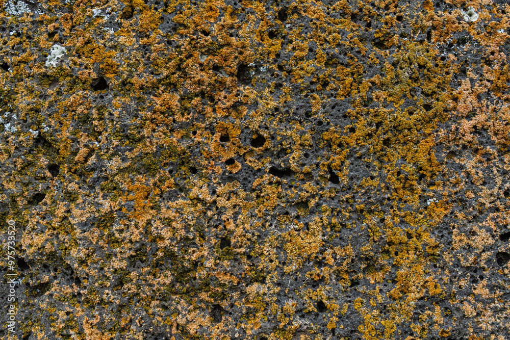 Close-up texture of lichen-covered stone at Tedjisi site Close-up texture of lichen-covered stone at Tedjisi site