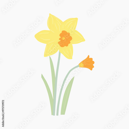 Bright yellow daffodil illustration