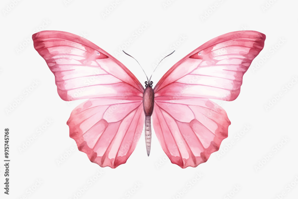 Elegant pink butterfly illustration Elegant pink butterfly illustration