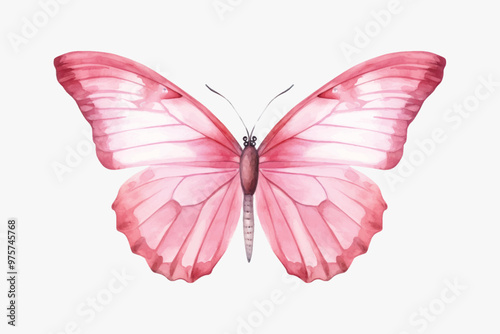 Elegant pink butterfly illustration