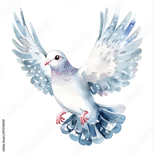 cute Dove watercolor clipart illustration isolated
