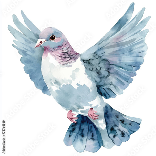 cute Dove watercolor clipart illustration isolated