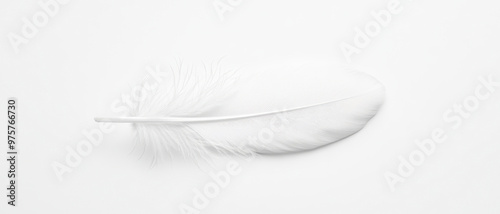 A single white feather lying horizontally across a plain white background. Generative AI a subtle texture against the smooth backdrop.