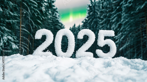 Sparkling "2025" written in the snow, with a winter forest and aurora borealis in the background.