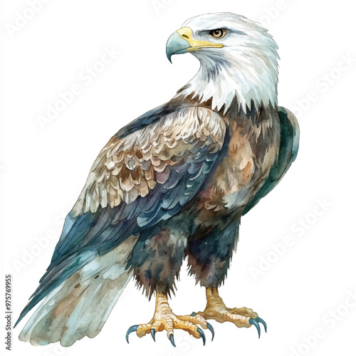 cute Eagle watercolor clipart illustration isolated