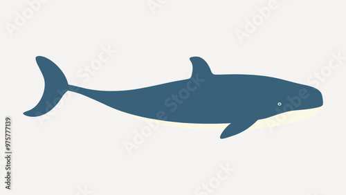 Minimalist blue whale illustration