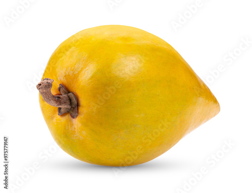 canistel fruit (Egg fruit, Tiesa, Yellow sapote, Canistelsapote, Chesa, Pouteria lucuma) on transparent png photo