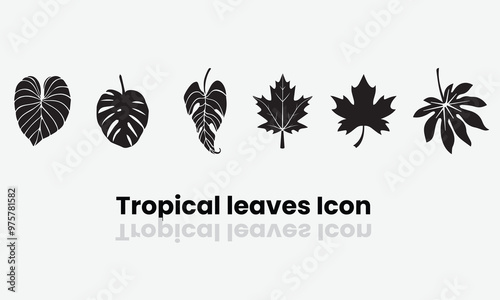 Tropical leaves monstera and palm tree vector & icon set