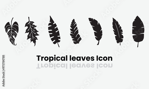 Tropical leaves monstera and palm tree vector & icon set