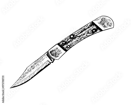 Folding pocket knife. Convenient functional knife when unfolded.