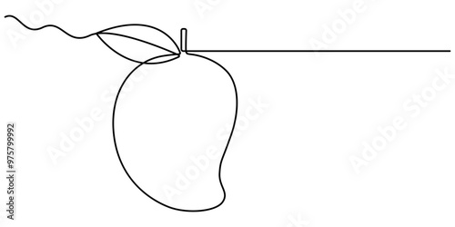 Continuous one line drawing of mango fruit with leaf. Mango fruit hand drawn single line art vector illustration, Continuous line drawing mango fruit. Healthy food natural organic concept.